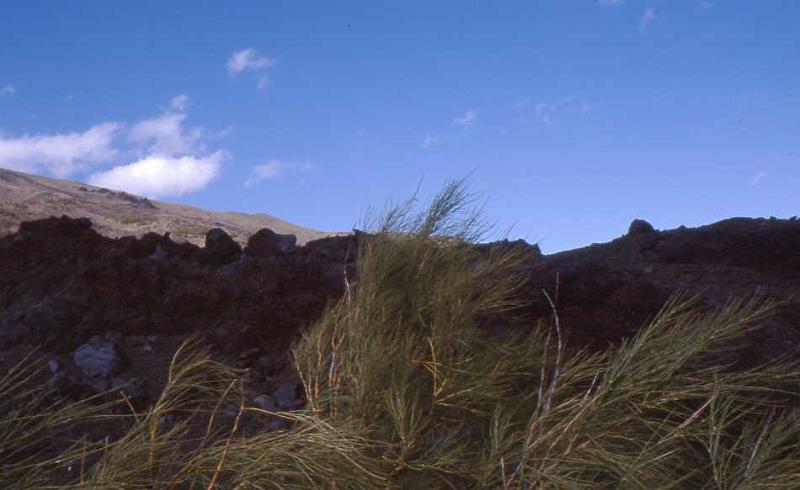 60-Etna,13 aprile 1998.jpg